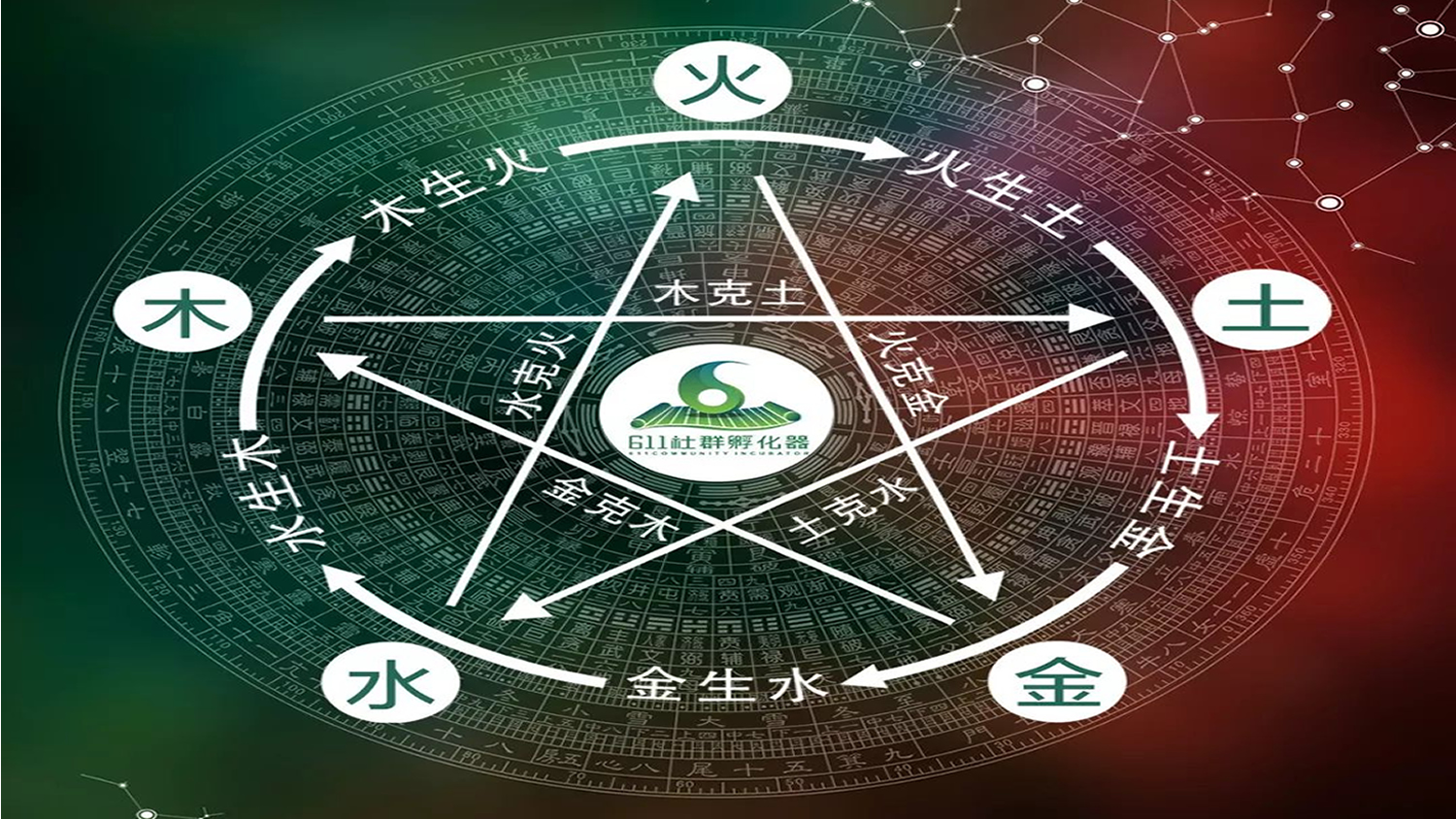 透析停止当天
